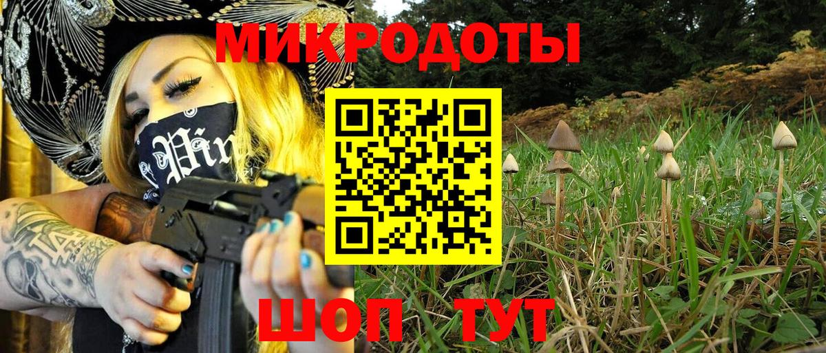 Галлюциногенные грибы MAGIC MUSHROOMS  цена наркотик  Каменск-Уральский  Вход с VPN  Галлюциногенные грибы GOLDEN TEACHER 